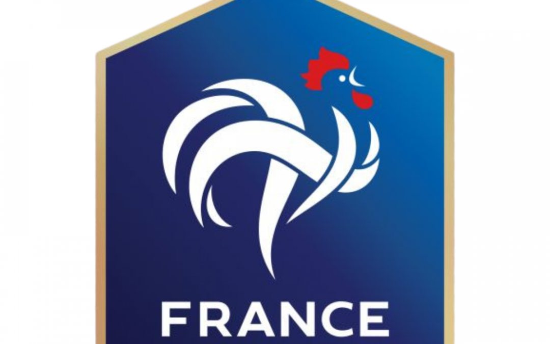 Project Manager for Engineering